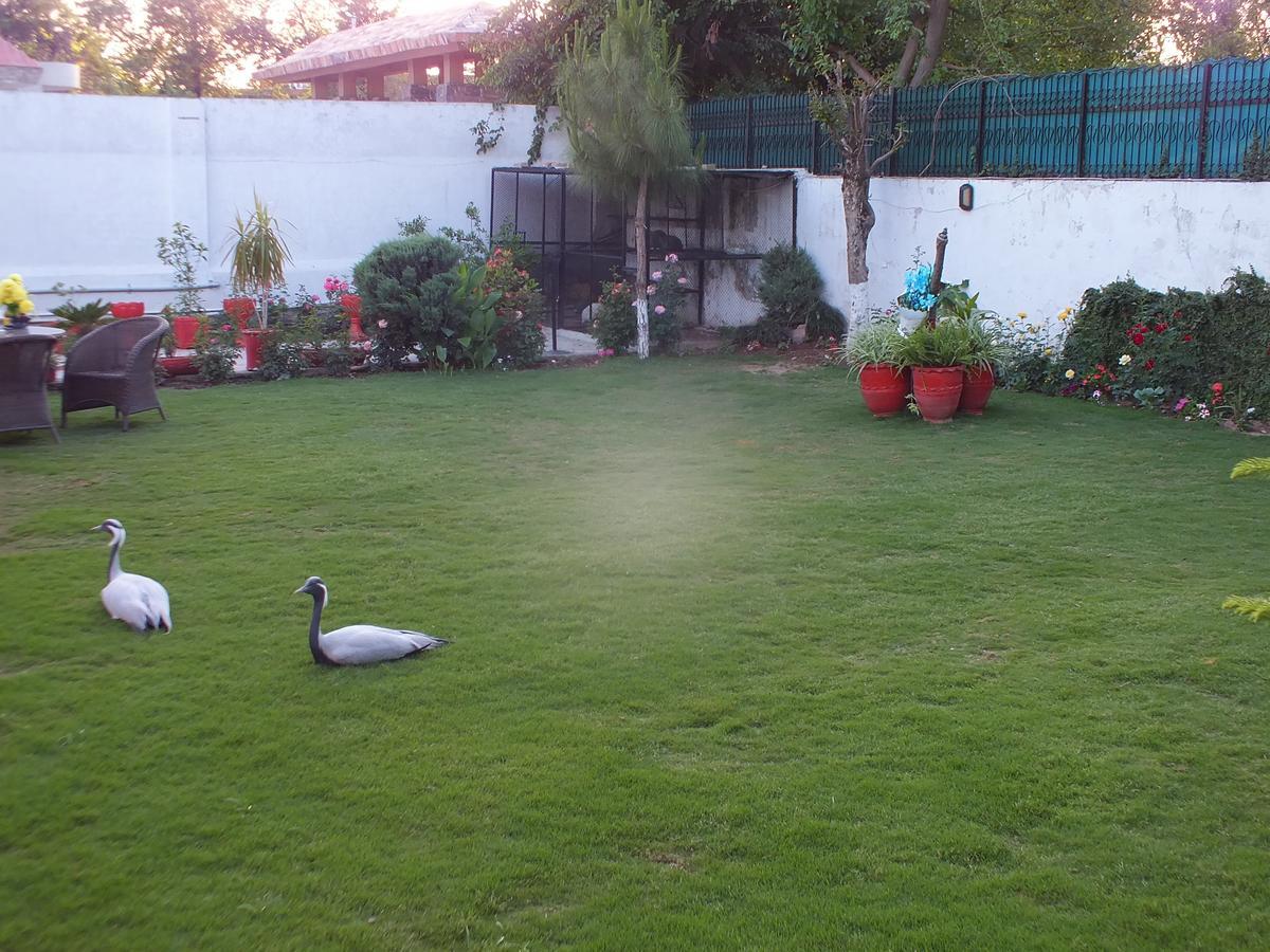 Capetown Guest House Islamabad Buitenkant foto